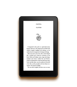 kindle edition